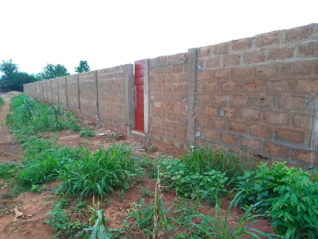 Image supplémentaire